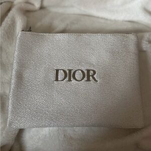 Dior Silver Shimmer Logo Pouch
